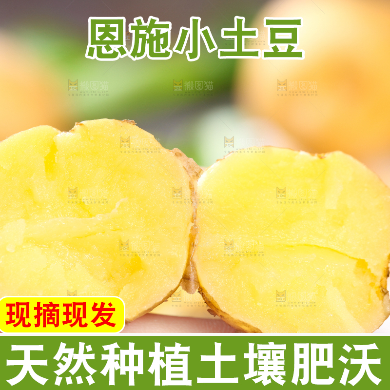 手拿掰开的黄心熟土豆