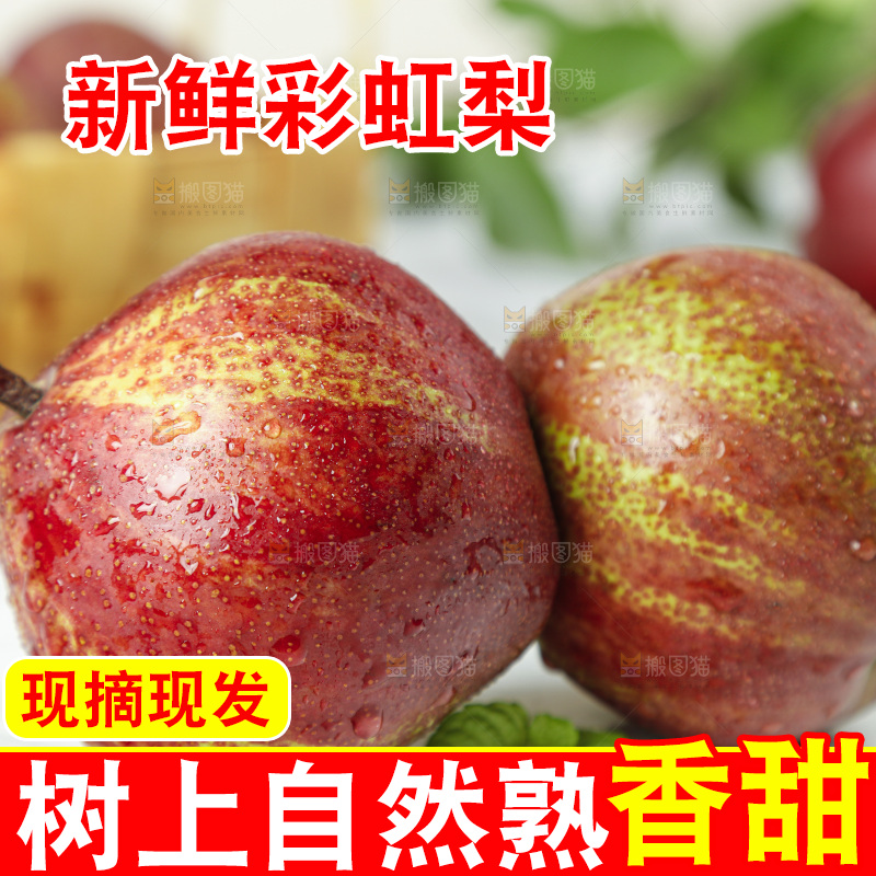 石板上的彩虹梨