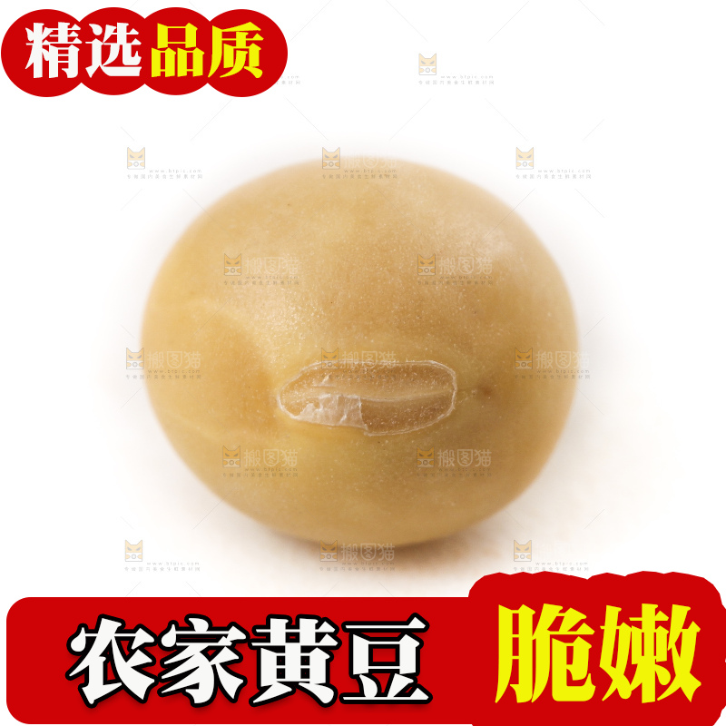 白底上的黄豆粒