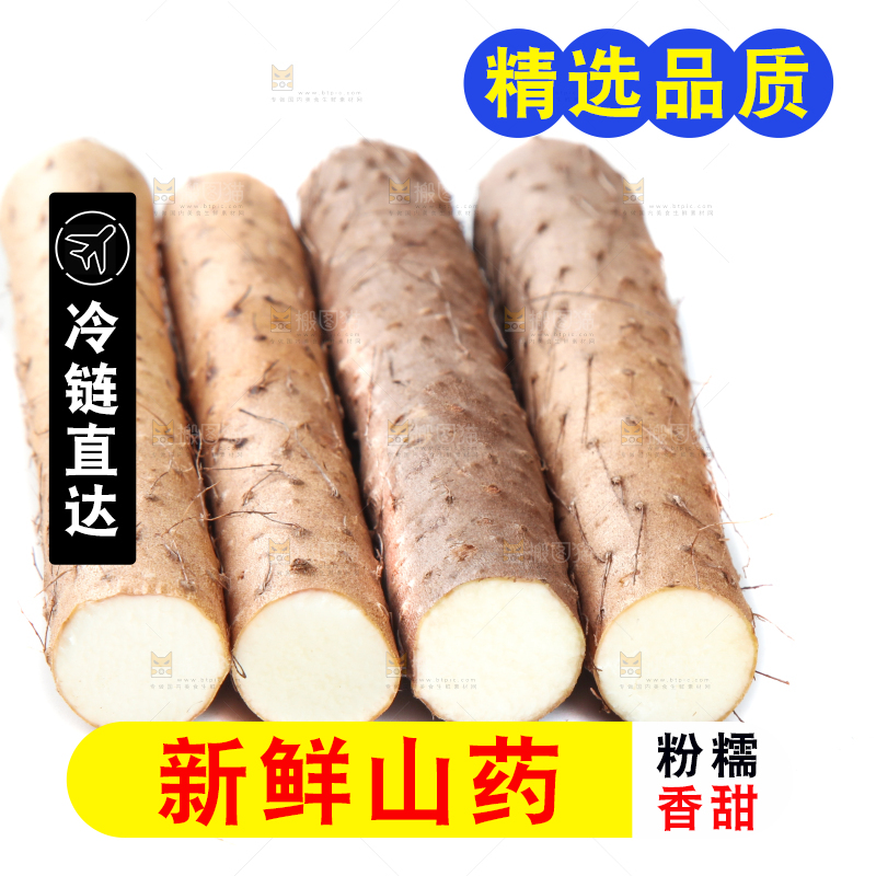 白底上摆放着山药