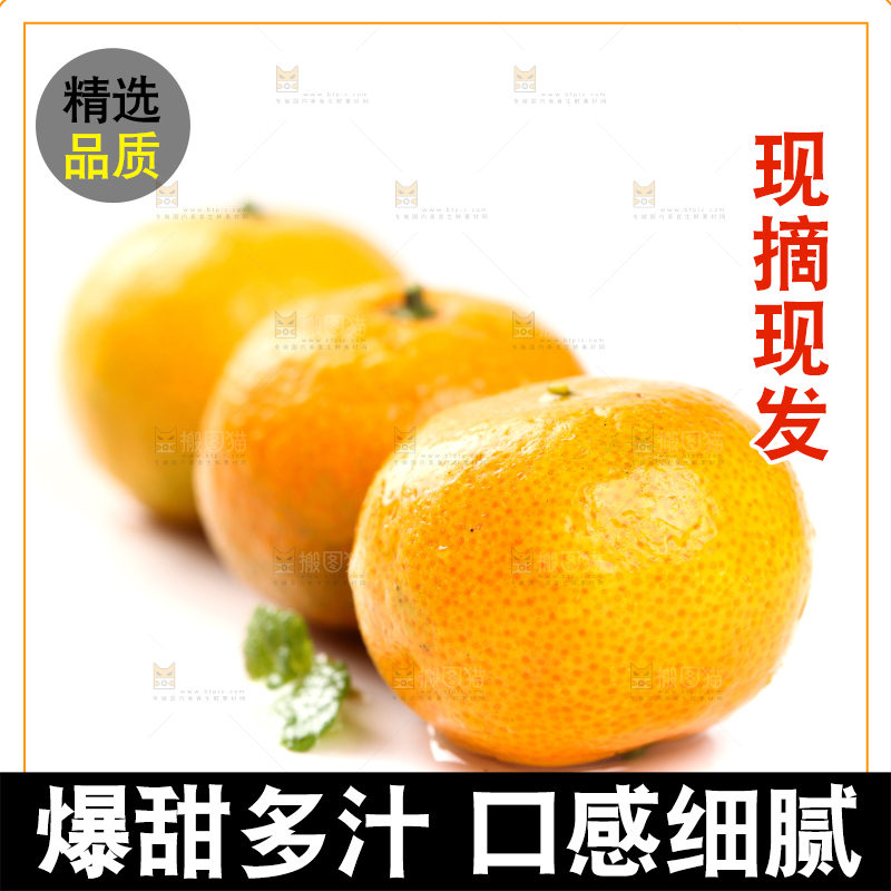 白底上的桂林清香蜜桔