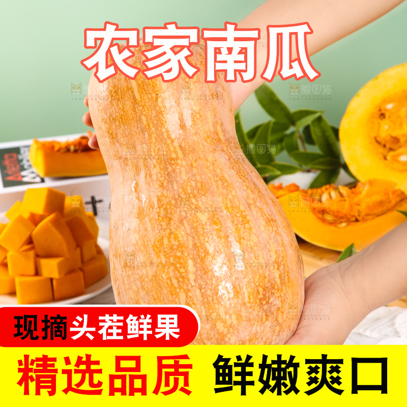 手拿老南瓜