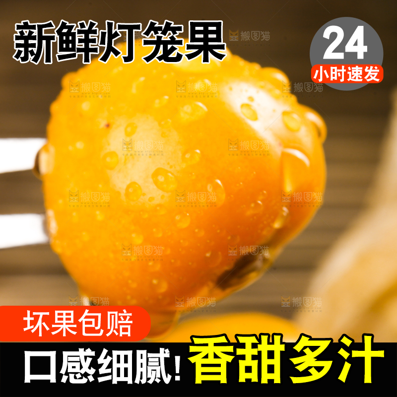 叉子叉子姑娘果