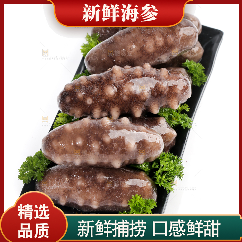 一盘刺参放在白底上