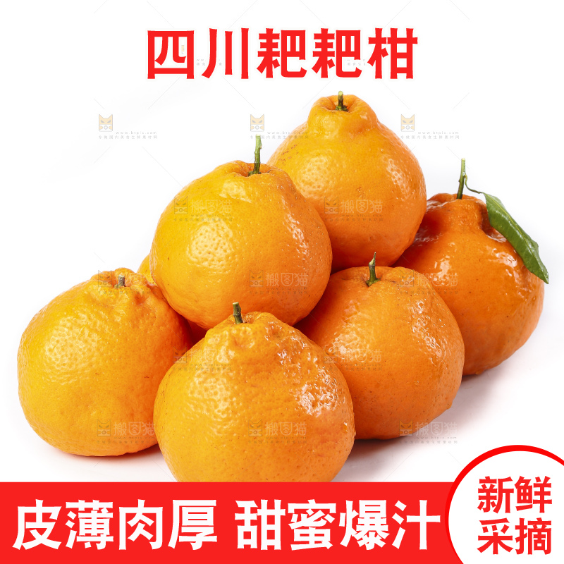 白底上放着春见桔橙