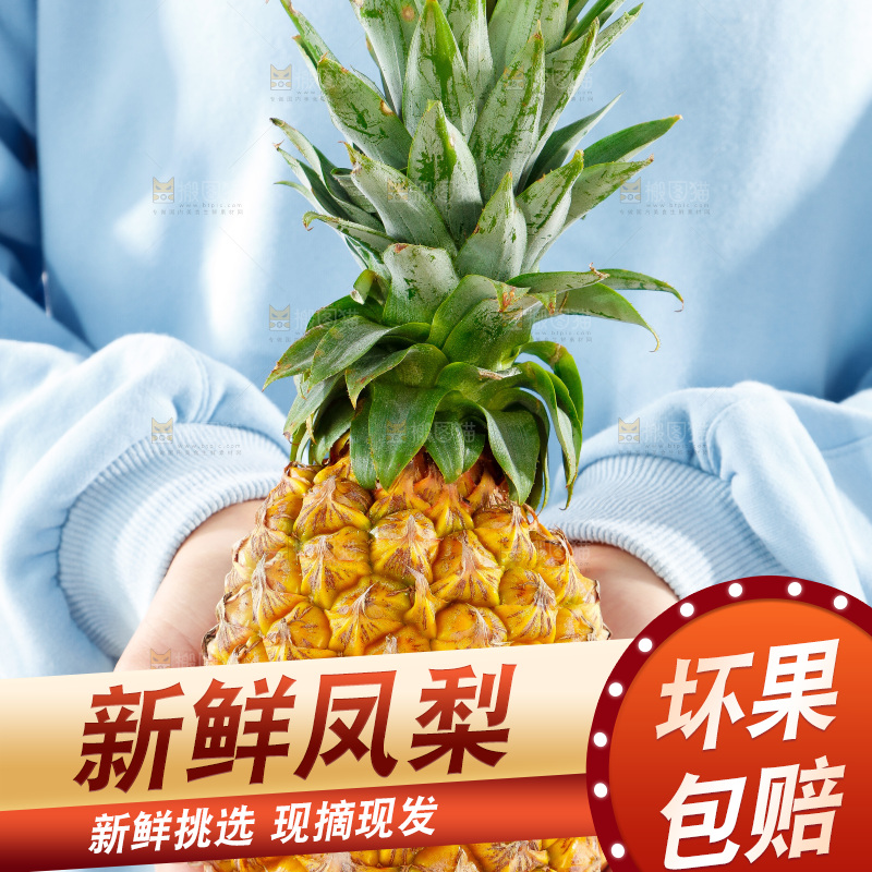 手上拿着凤梨