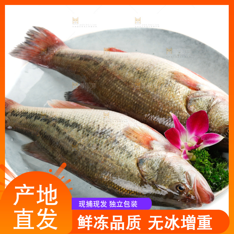 盘子里放着一条鲈鱼
