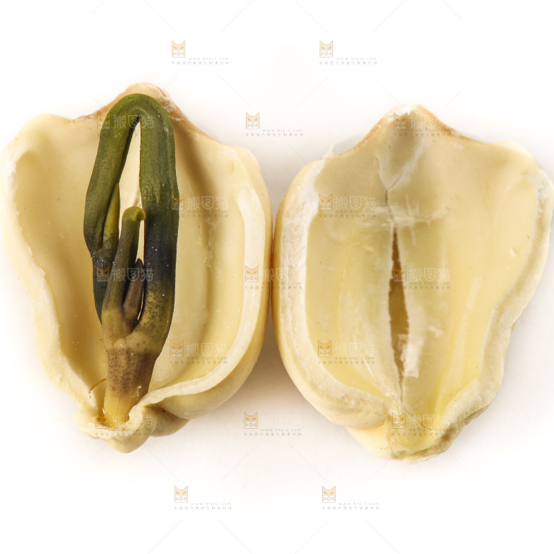 白底上的九鲤湖白莲子