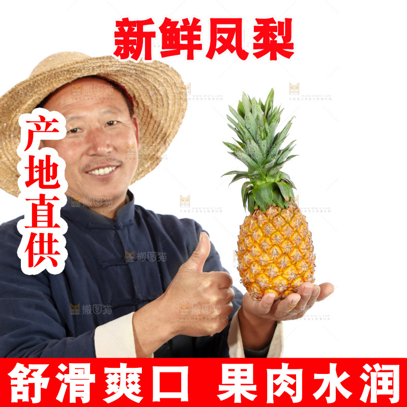 农民手里拿着凤梨