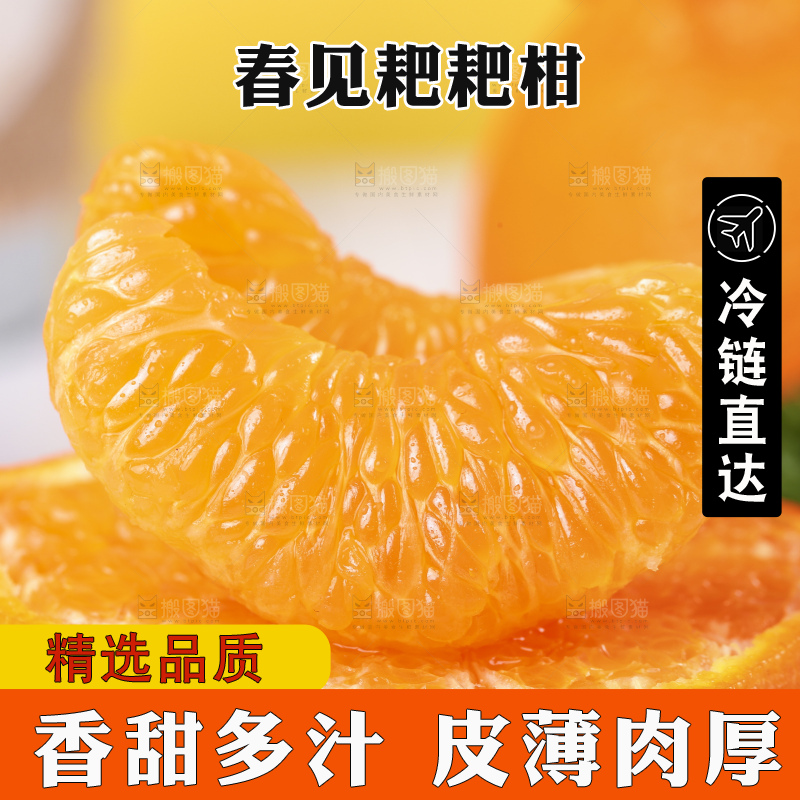 木板上放着春见耙耙柑