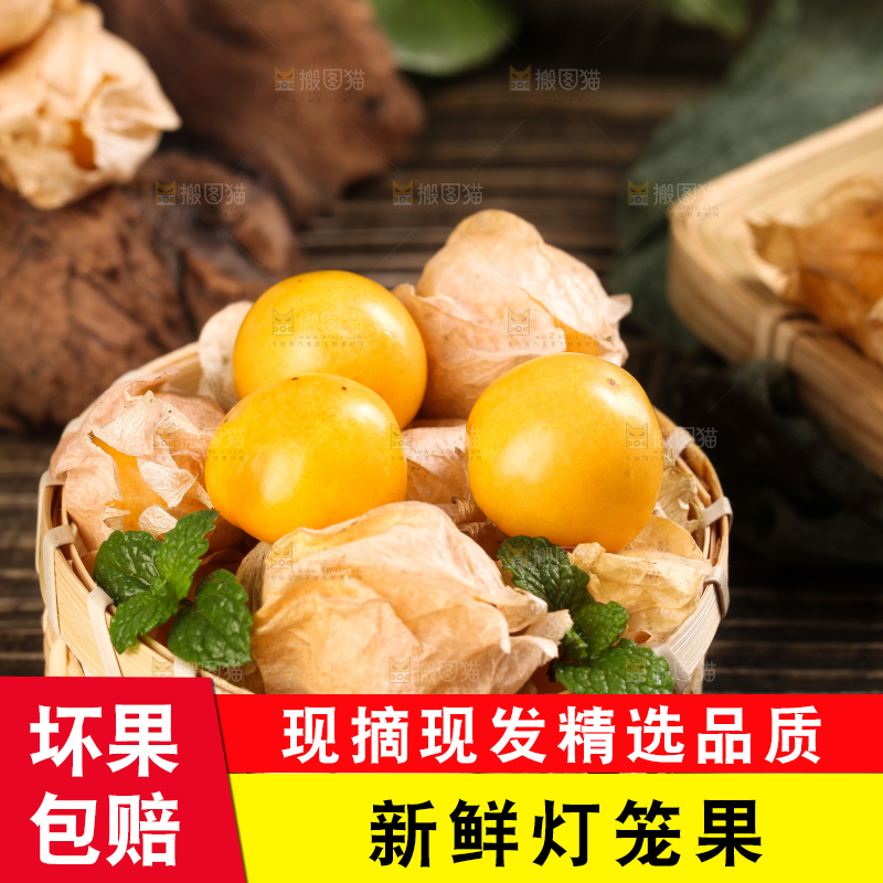 竹篮里放着菇娘果
