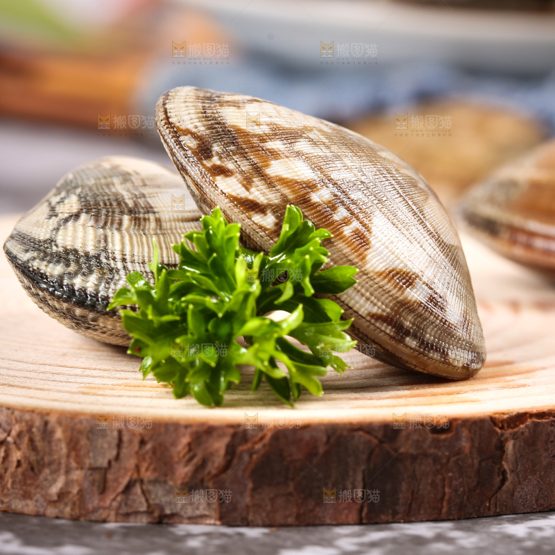 木底上新鲜蛤砺