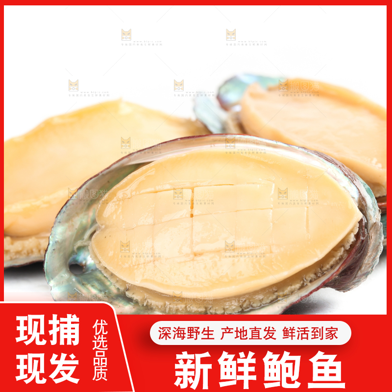 白底上放着新鲜剥开的鲜鲍鱼