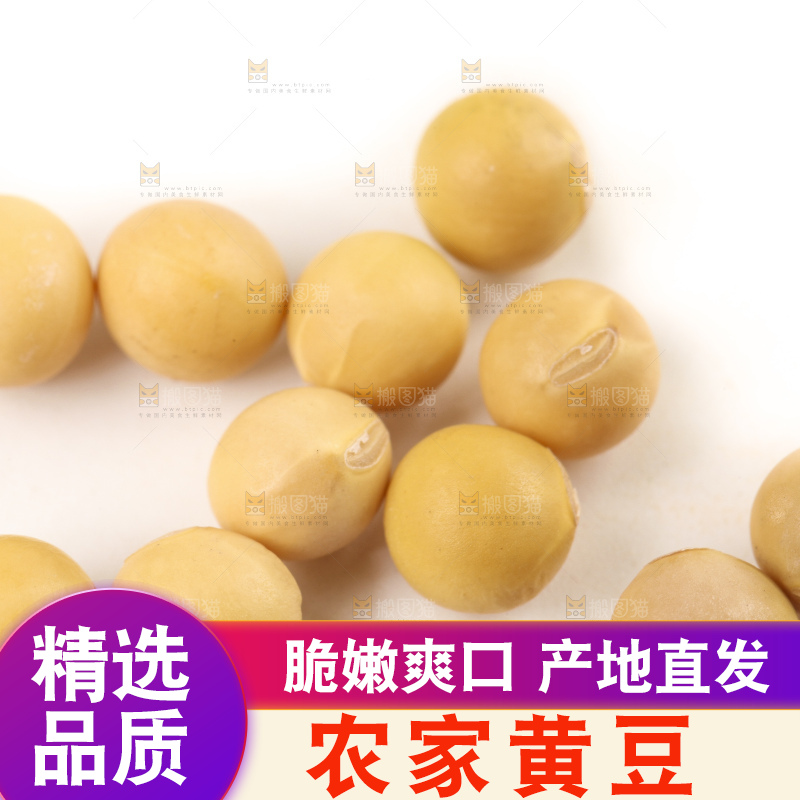 白底上的黄豆粒