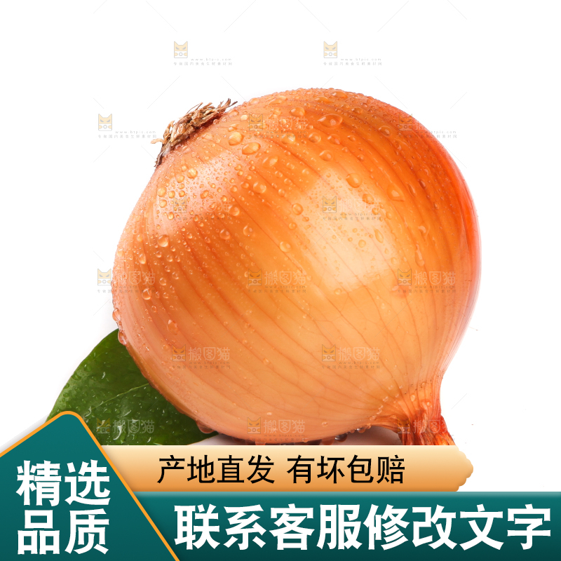 白底上放着黄皮洋葱