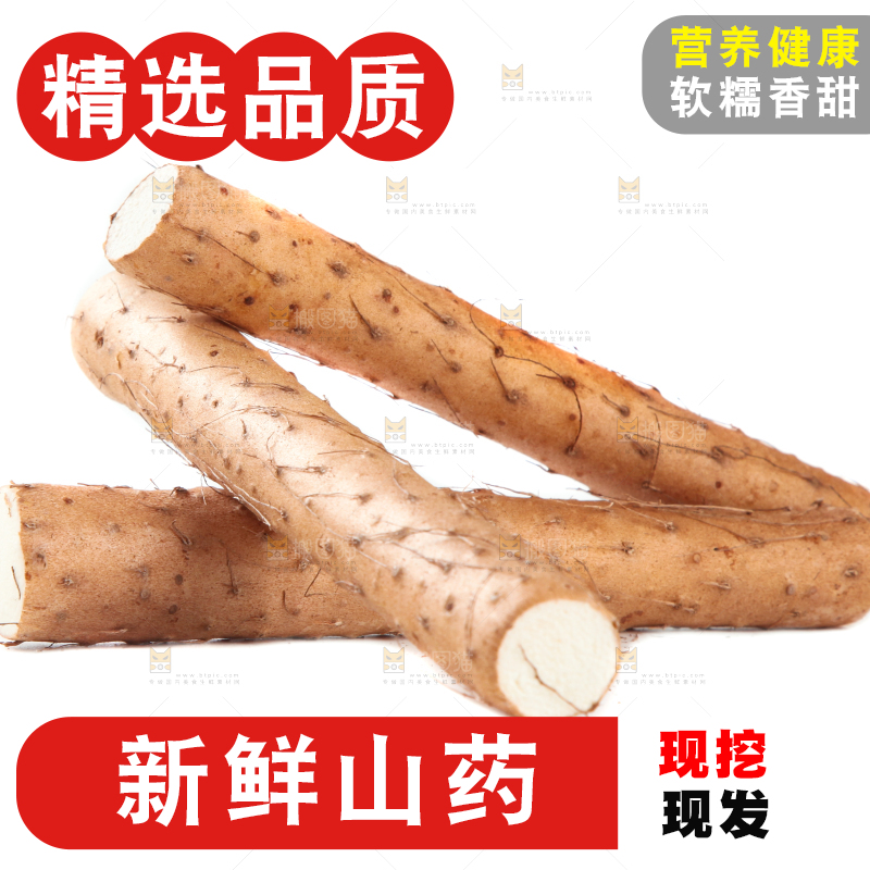 白底上摆放着山药