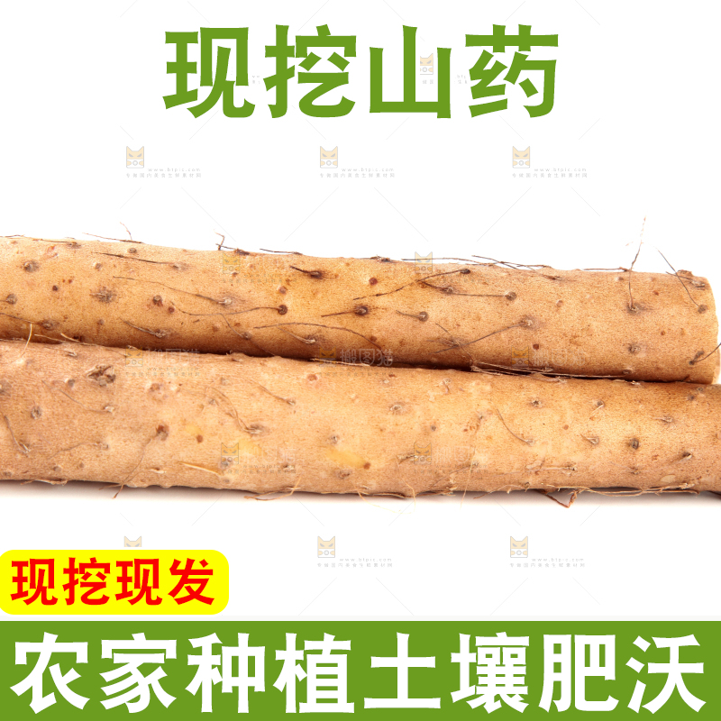 白底上摆放着山药