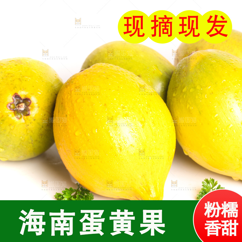 白底上的新鲜鸡蛋果