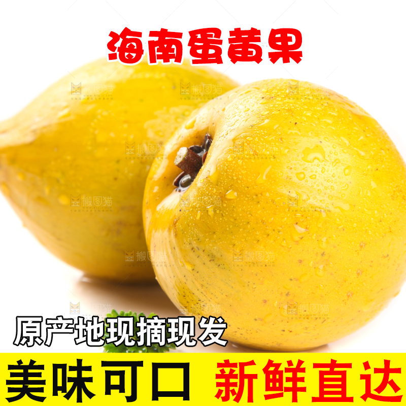 白底上的新鲜鸡蛋果