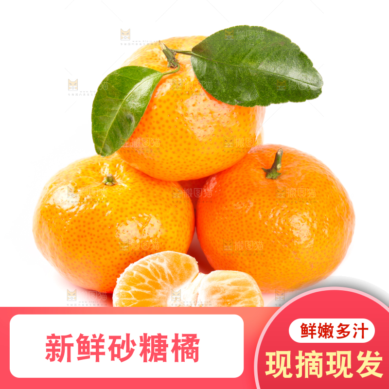 白底上的砂糖橘
