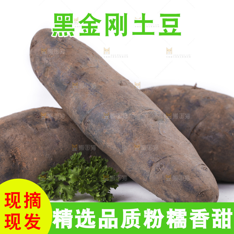 白底上放着黑美人土豆
