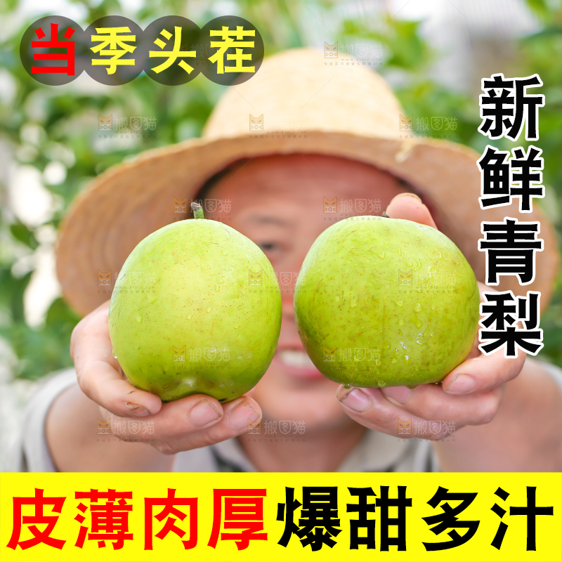 农民手里拿着青皮皇冠梨
