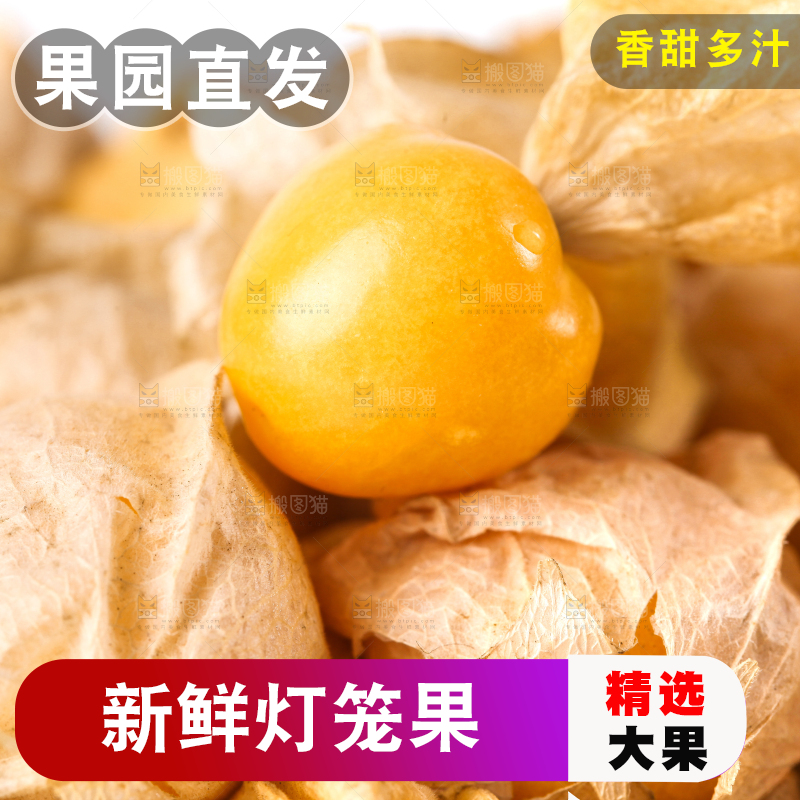 白底上放着灯笼果