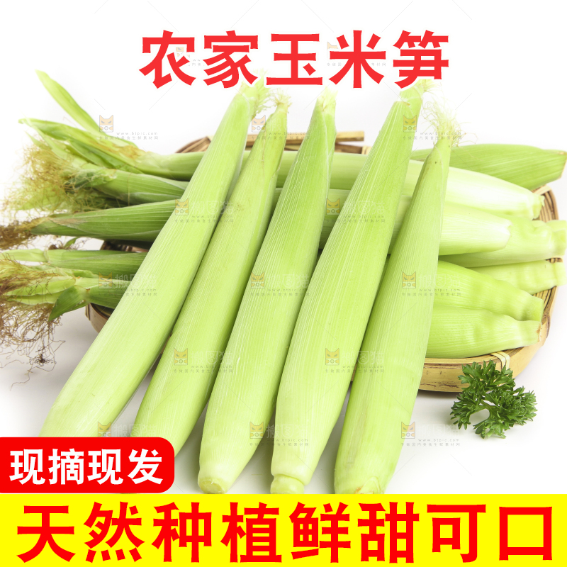 白底上的珍珠笋