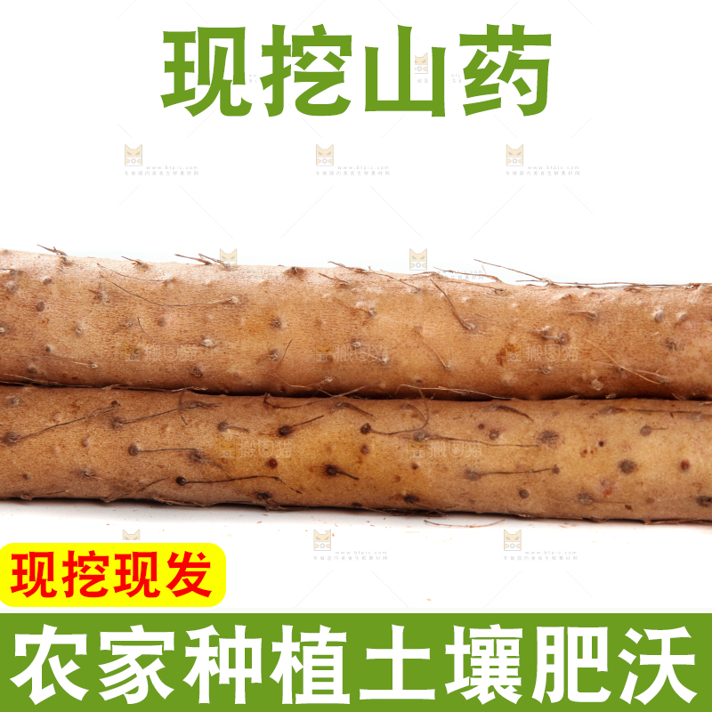 白底上摆放着山药