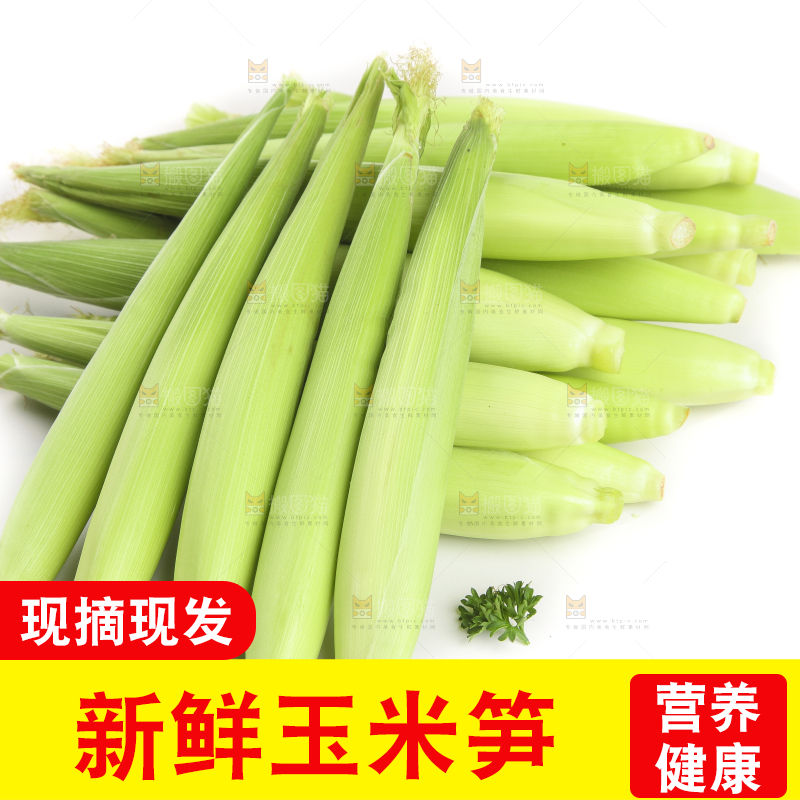 白底上的珍珠笋