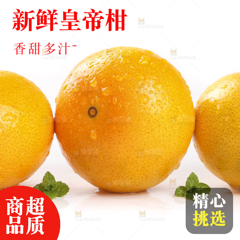 白底上的广西皇帝柑
