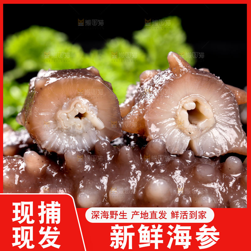 切开的海参放在黑底上