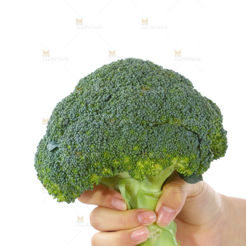 手里拿着西兰花