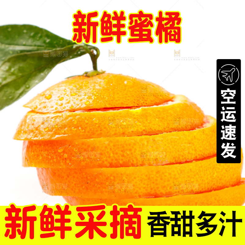 白底上摆放着蜜橘