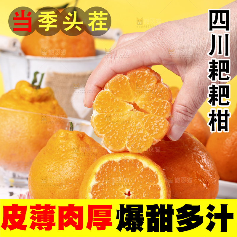 盘子里装着春见柑橘