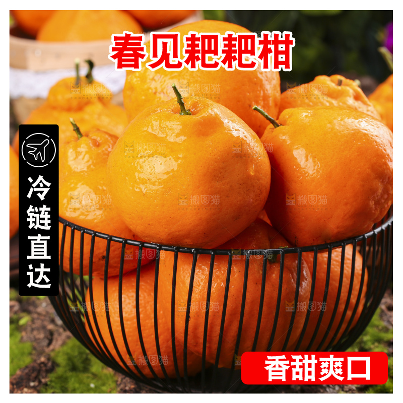 深底上放着四川春见
