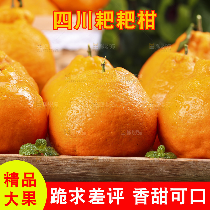 深底上放着四川春见