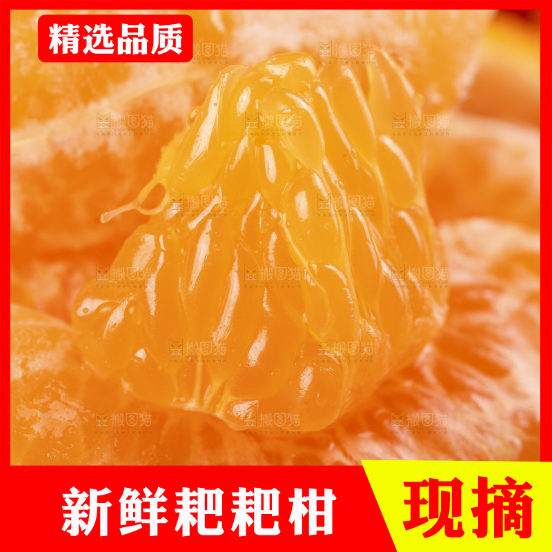 深底上放着四川春见