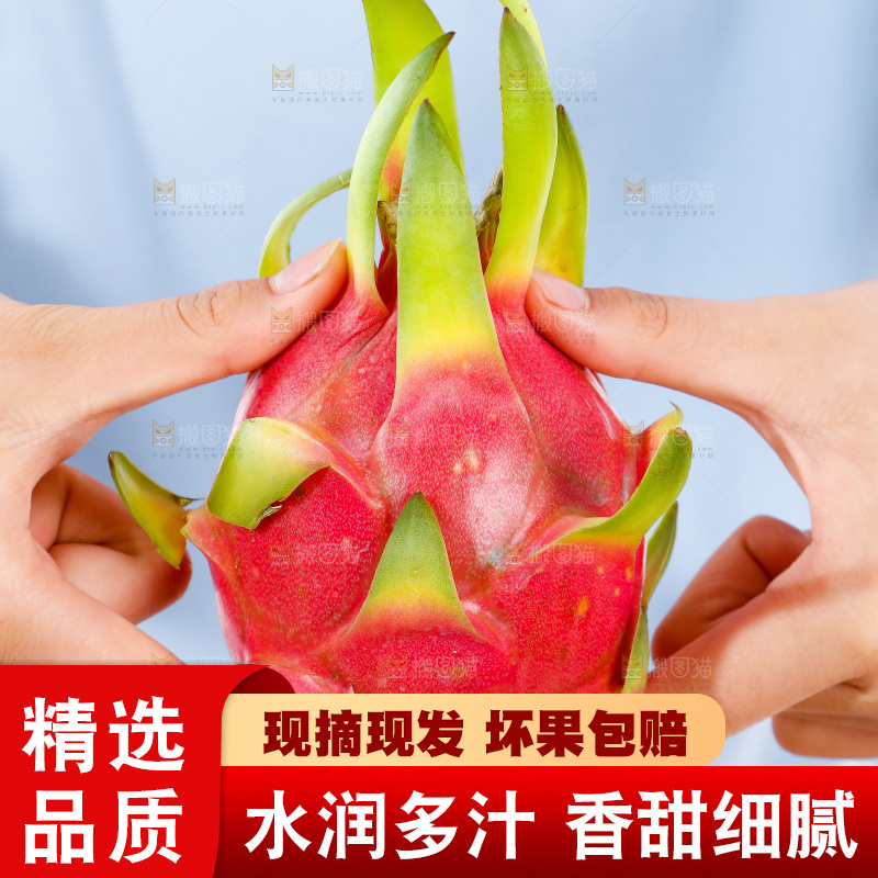手里拿着火龙果