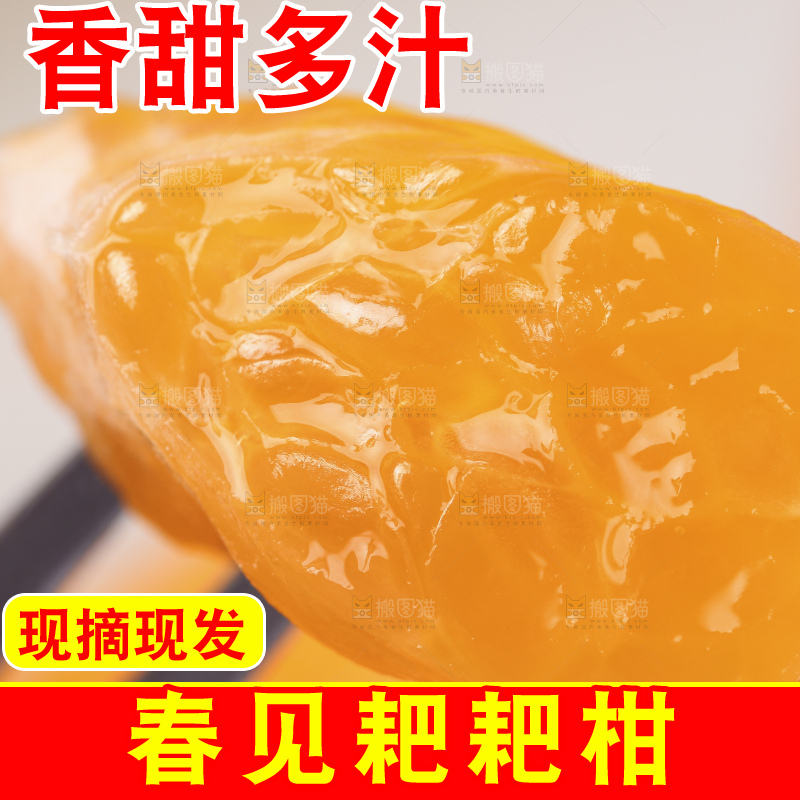 叉子上叉着春见果肉