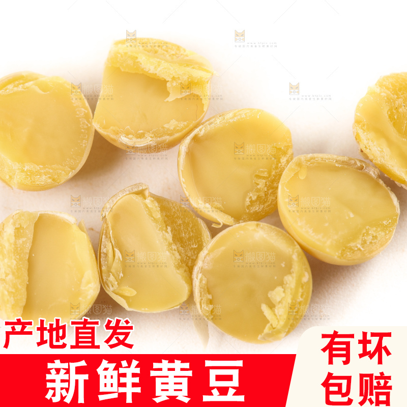 白底上放着东北黄豆