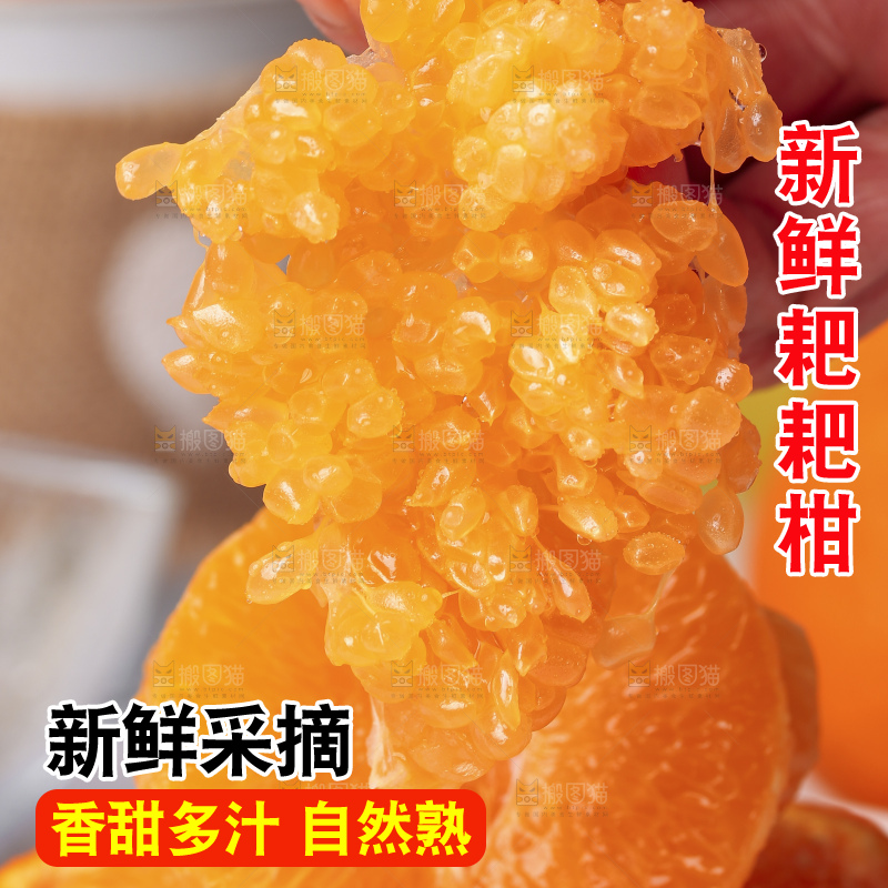 木板上放着春见耙耙柑