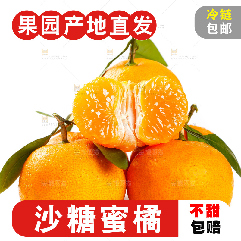 白底上摆放着蜜橘
