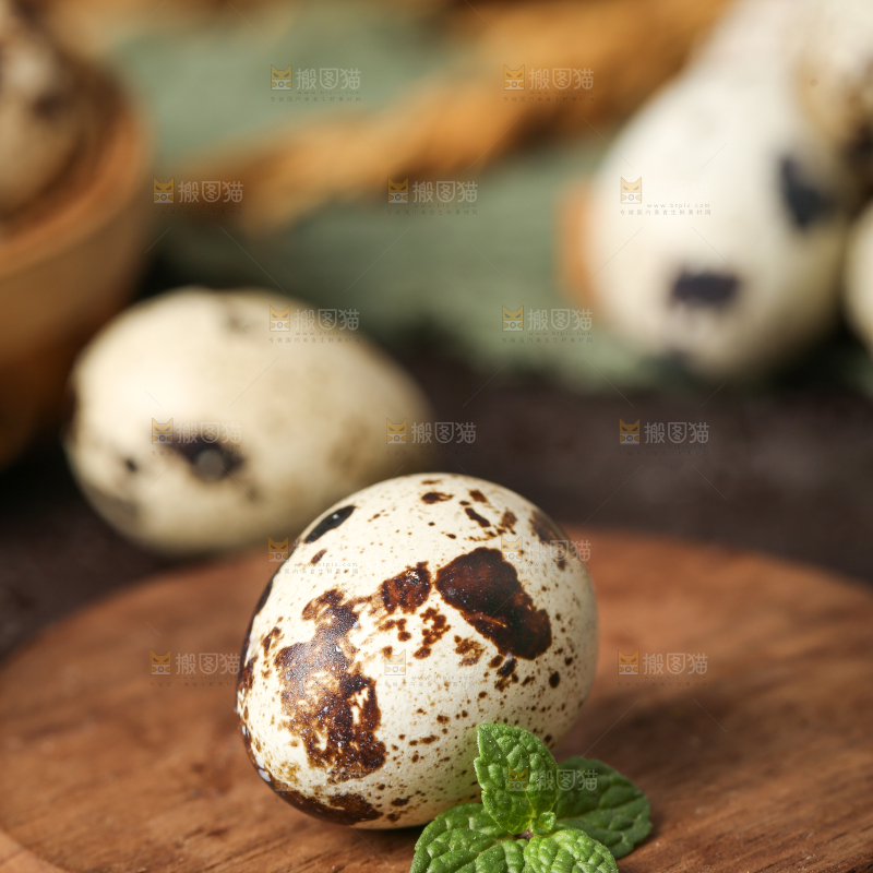 木底上的鹌鹑蛋