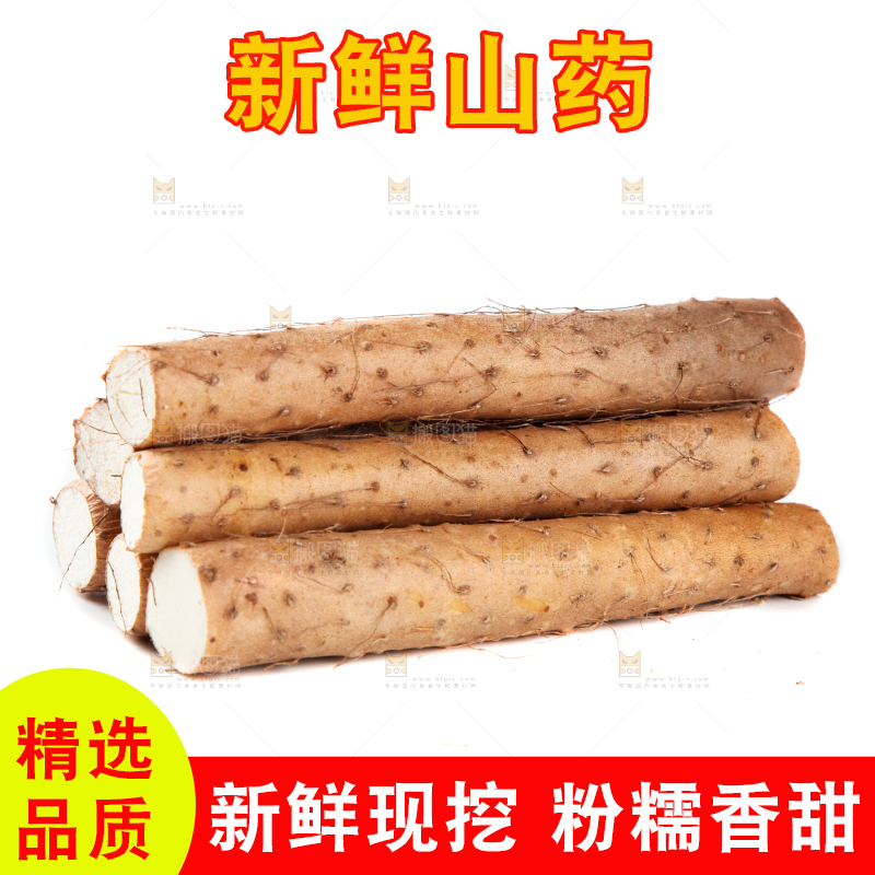 白底上摆放着山药