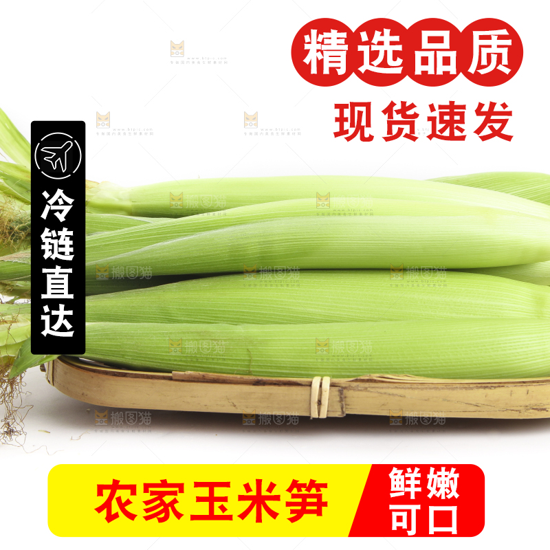 白底上的珍珠笋