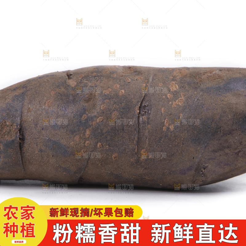 白底上放着黑美人土豆