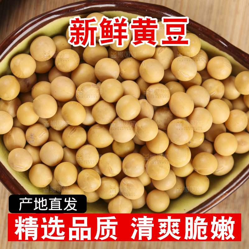 碟子里装着黄大豆