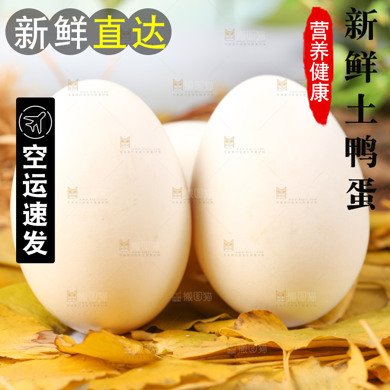 树叶上的鲜鸭蛋
