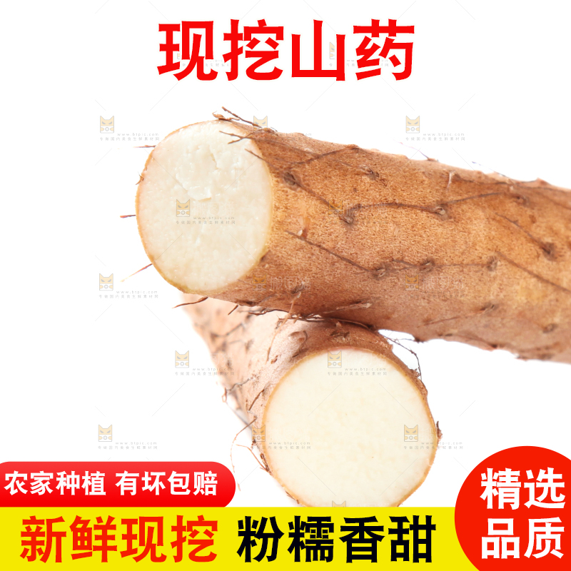白底上摆放着山药